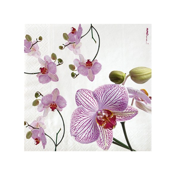 ZS57 Zelltuchservietten 33x33 cm, 3-lagig, 1/4 Falz, Orchidee