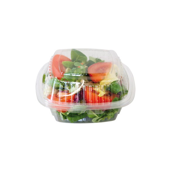 V17 Salat Klappbox aus PET mit anhängendem Dom-Deckel 130x130x70 mm