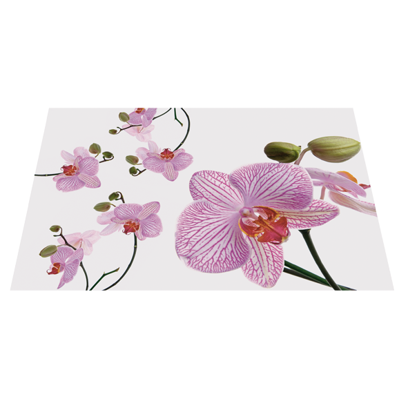 ZT23 Tischset Orchidee 42x30 cm, 90 g/m2 Papier